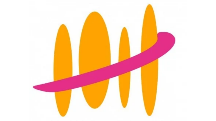 Naisten pankin logo