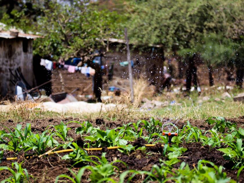 Uusi koulu ja kunnostettuja vanhoja taloja Malyassa. Mwanzan hiippakunnan rakennusprojektit